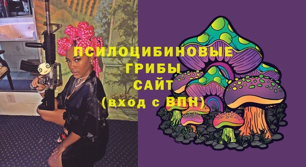 таблы Туринск