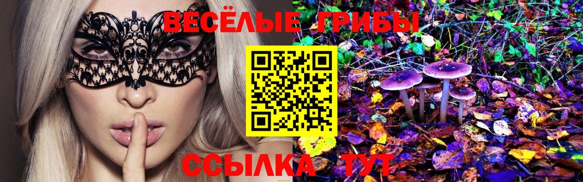 Комсомольск-на-Амуре  Галлюциногенные грибы GOLDEN TEACHER  Галлюциногенные грибы MAGIC MUSHROOMS  Вход с VPN 